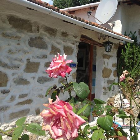 Villa D'Arte Mortola Superiore Zimmer foto
