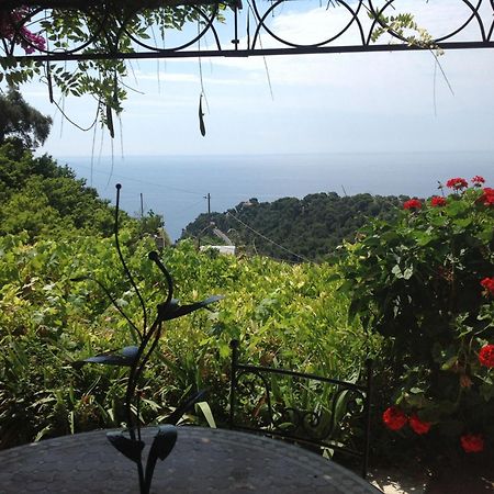 Villa D'Arte Mortola Superiore Zimmer foto