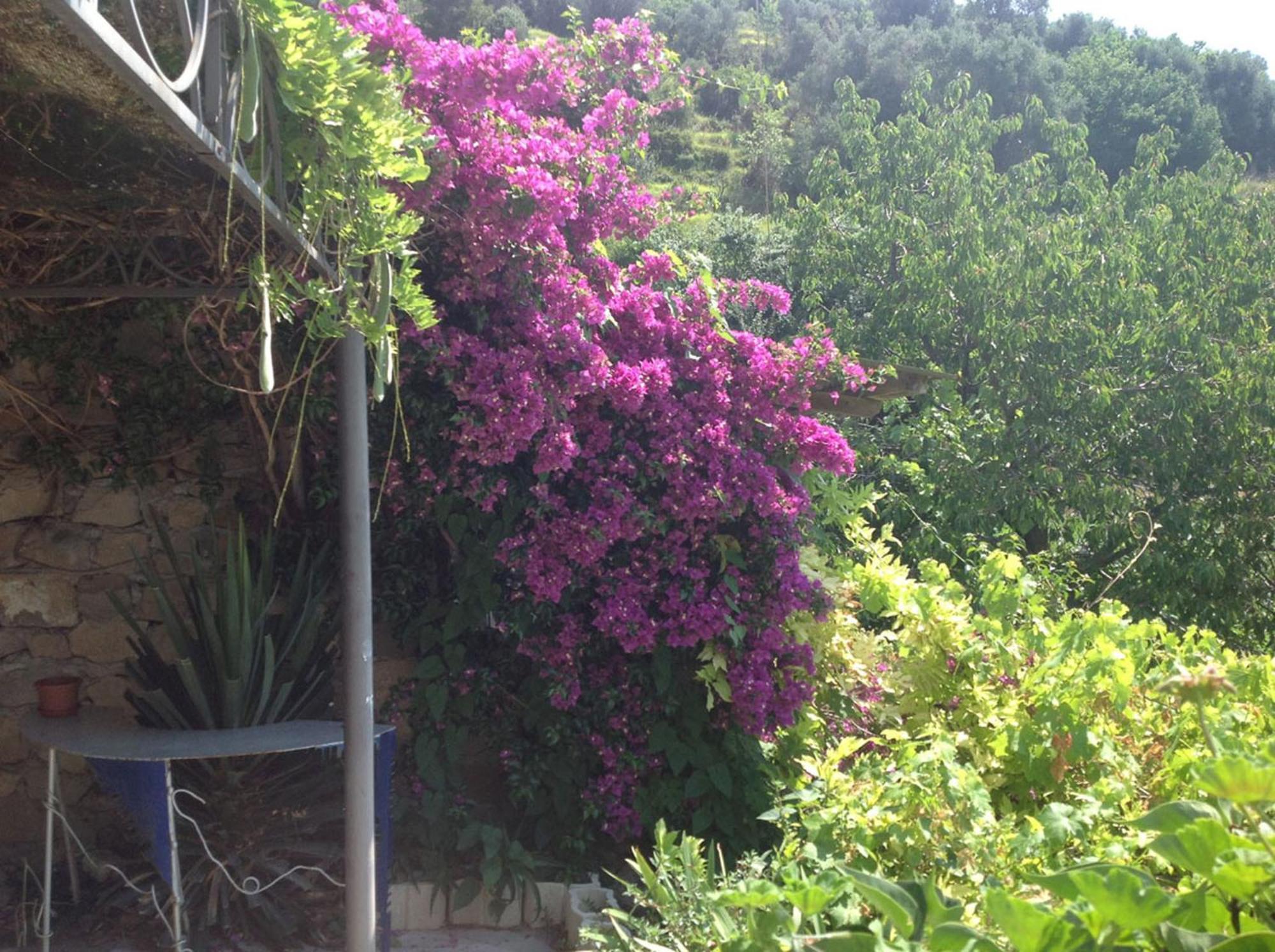 Villa D'Arte Mortola Superiore Zimmer foto